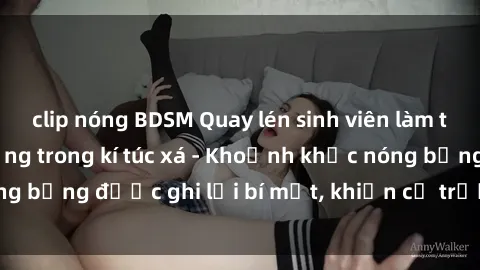 clip nóng BDSM Quay lén sinh viên làm tình ngay trên giường trong kí túc xá - Khoảnh khắc nóng bỏng được ghi lại bí mật, khiến cả trường học xôn xao.
